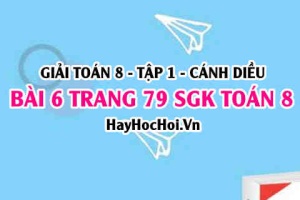 Giải bài 6 trang 79 Toán 8 Tập 1 SGK Cánh Diều